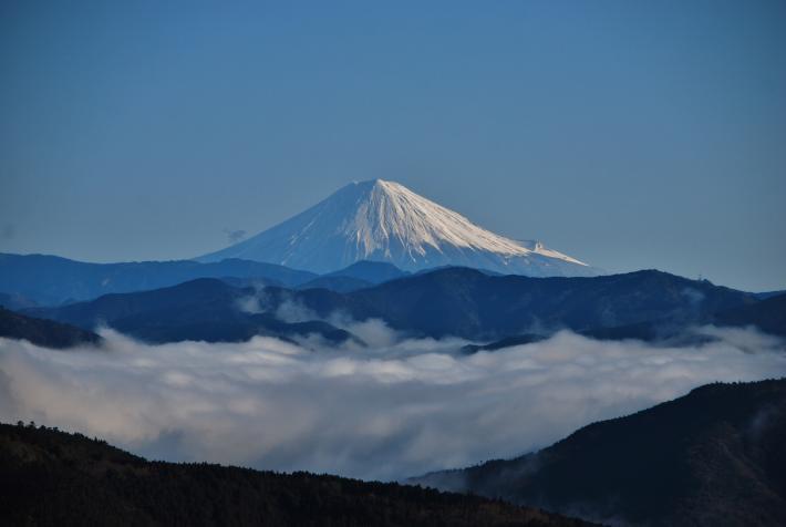 富士山の手前に真っ白な雲海が広がっている画像