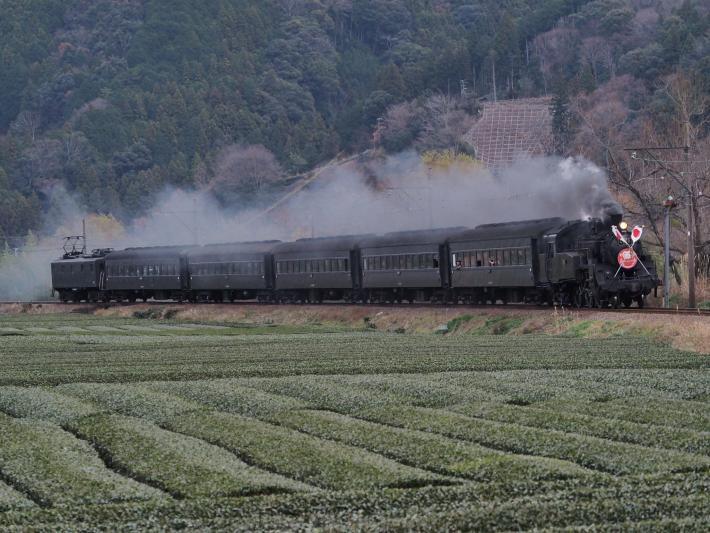 煙を上げて走るSL列車の画像