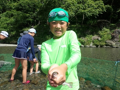 やまめのつかみ取り