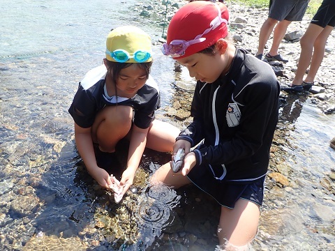 やまめの調理