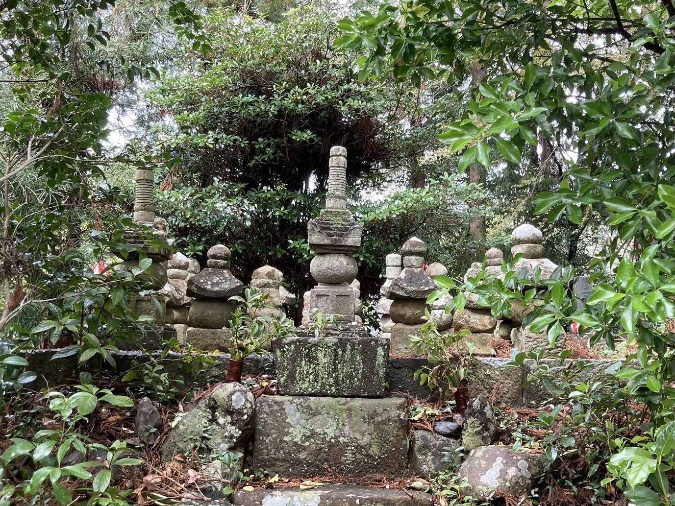画像.jpg