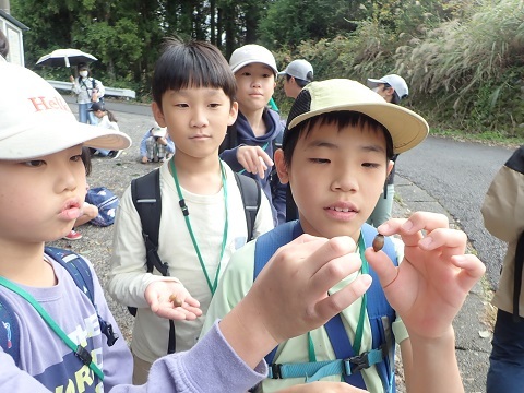 伊久美地区散策