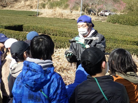 炭の切り方説明