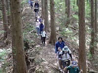 山道２