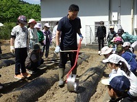 うねに穴をあける