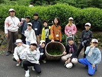 茶園で集合写真