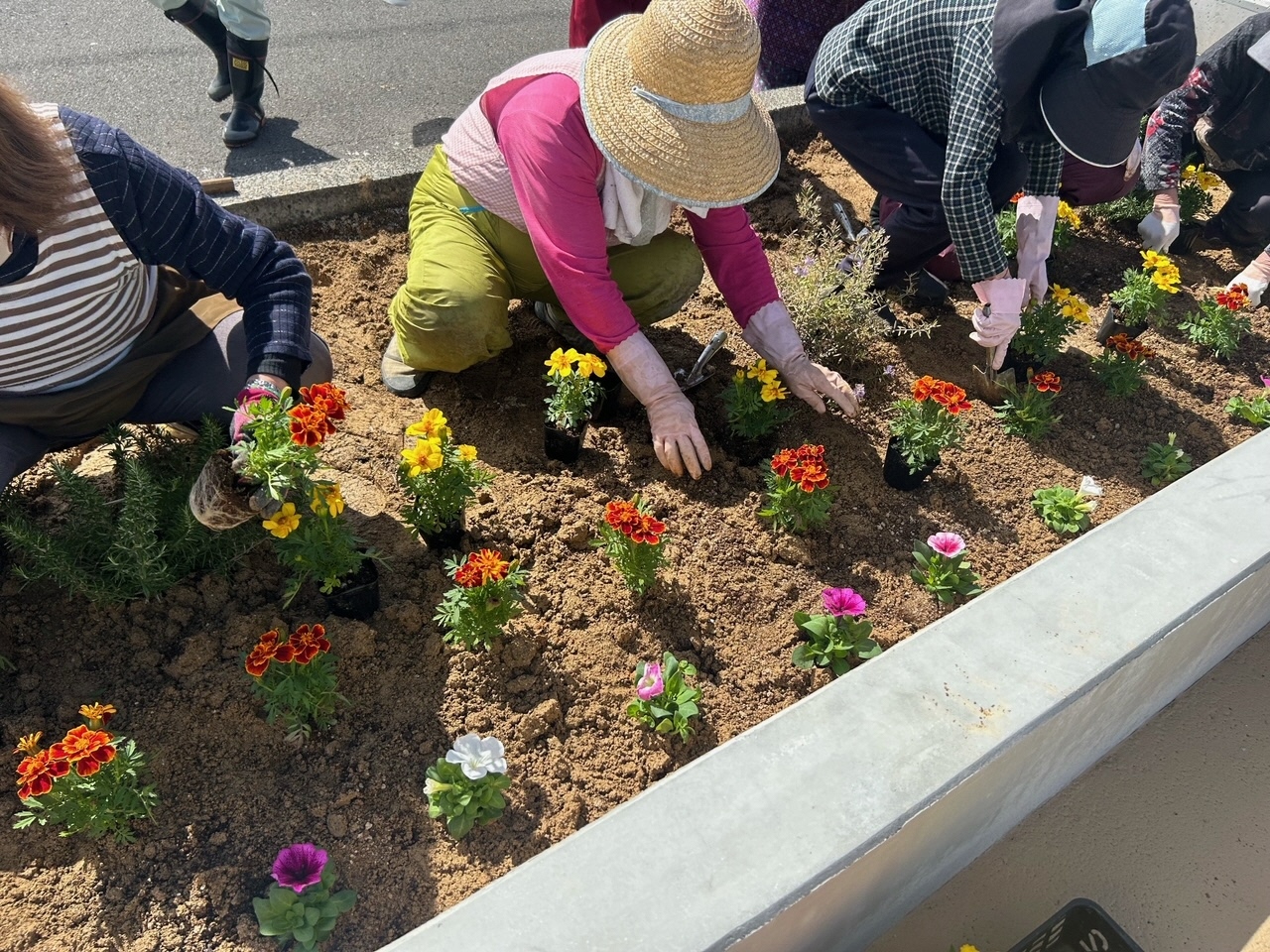 花壇整備の様子