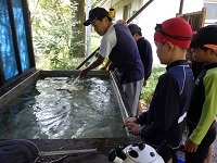 やまめの準備