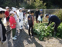 ツルの処理の実演