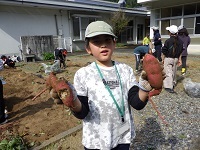 掘ったサツマイモ３