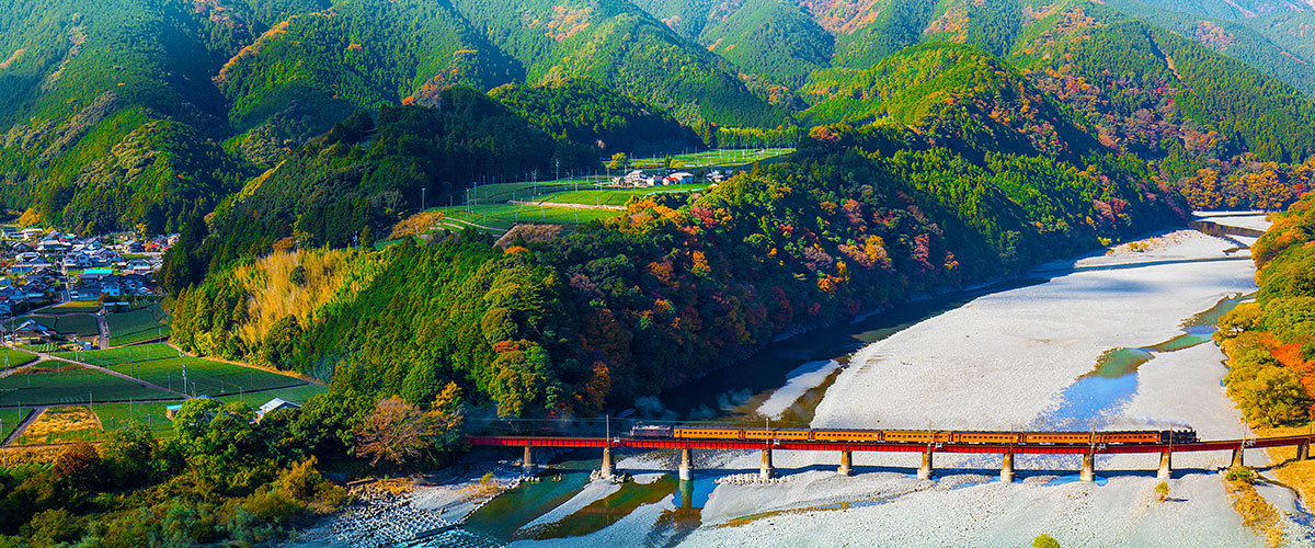 自然豊かな情景の画像